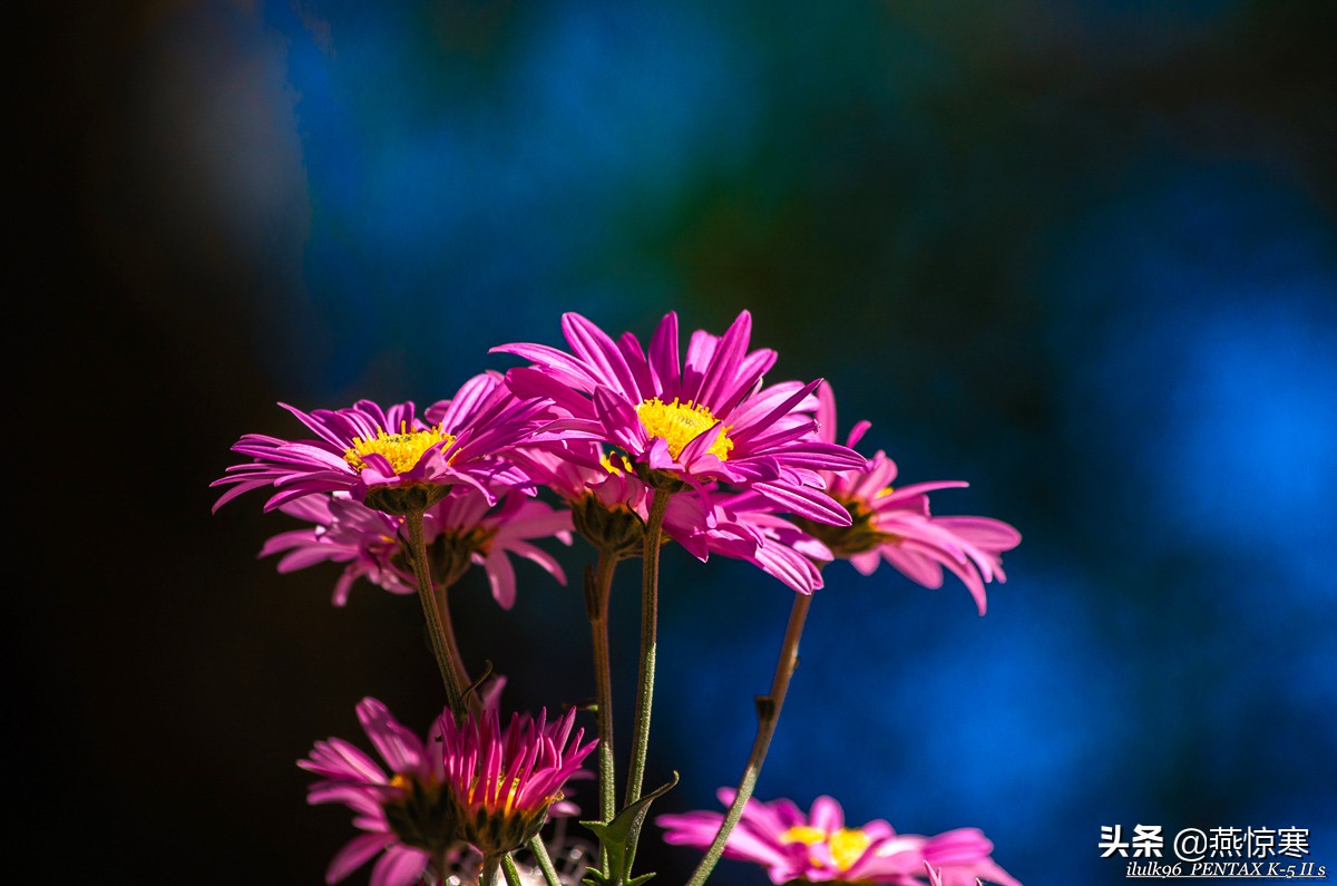 宾得理光镜头通用吗,宾得理光手动镜头推荐