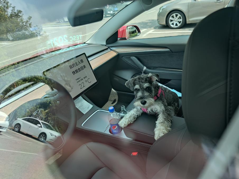 二手北汽新能源ec200可以买吗,二手新能源车能买吗