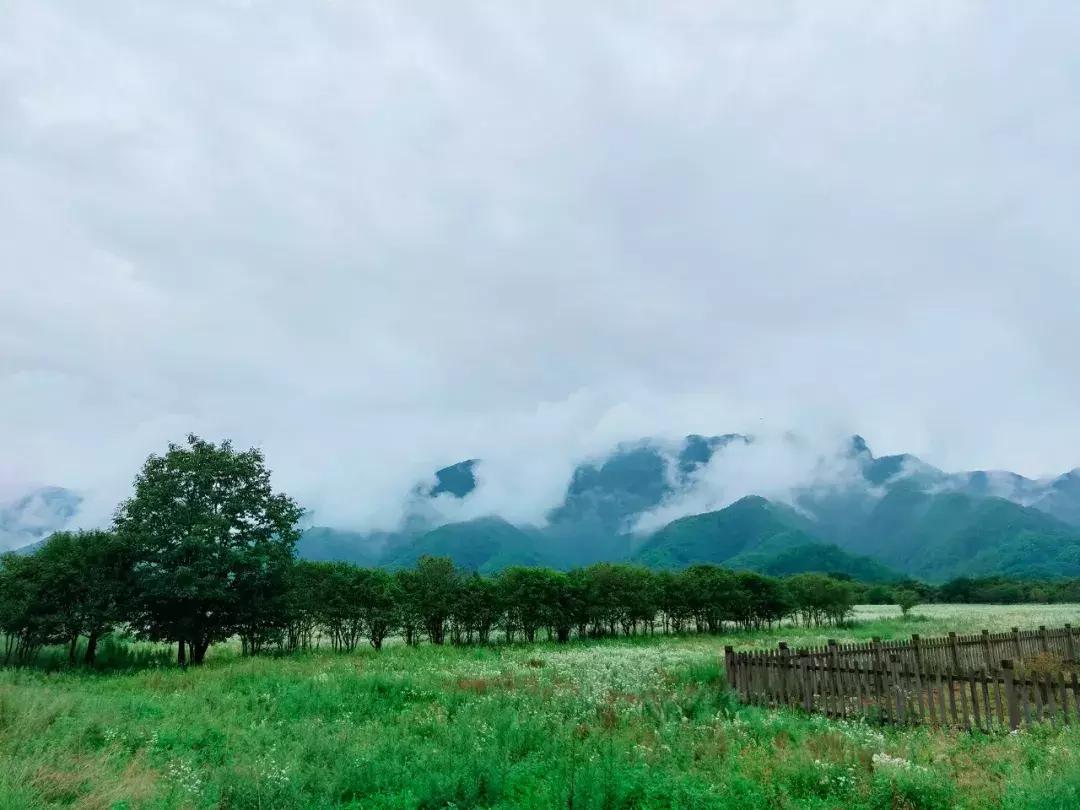 神农架攻略书,重庆出发神农架三日自驾游攻略
