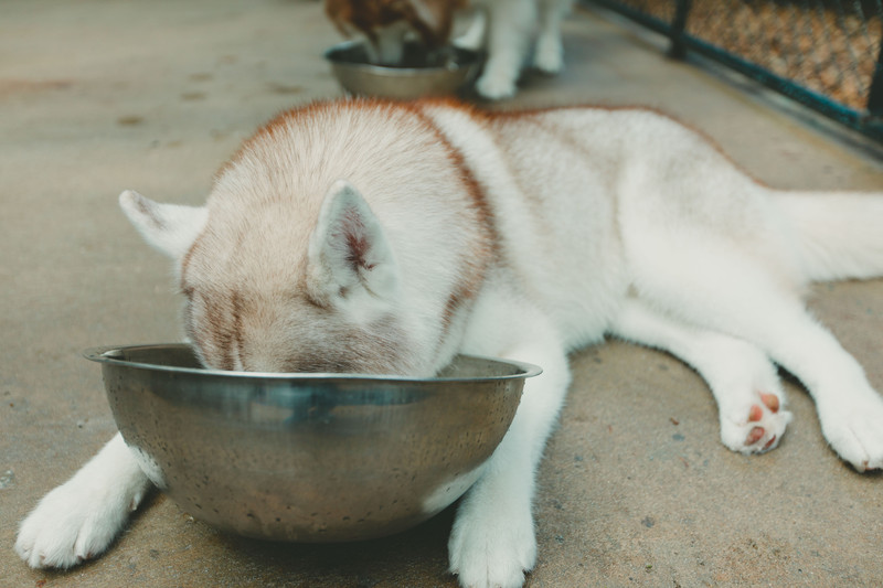 多次曼谷,整理了这份美食攻略,曼谷怎么吃?快戳进来