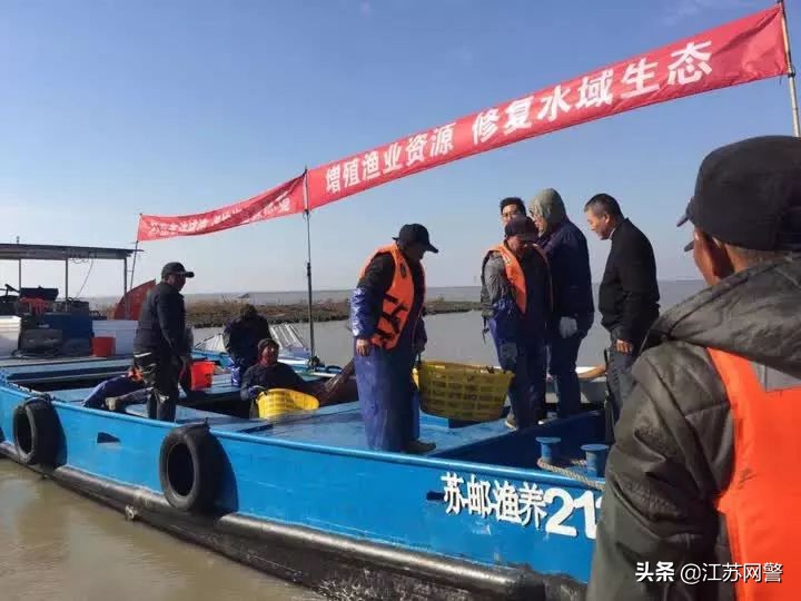 非法捕鱼民事公益诉讼案例,江苏扬州打鱼事件
