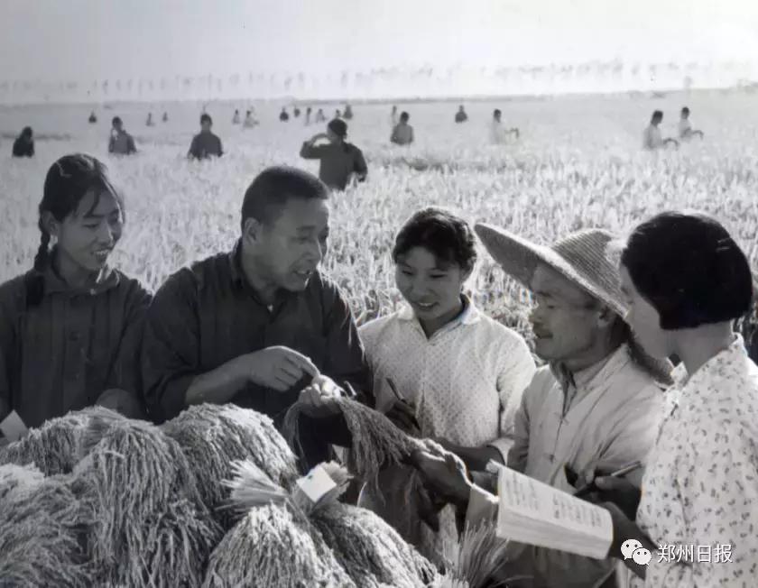 向全世界推介郑州,向全国推介郑州