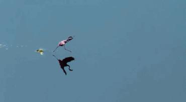 一定要陪孩子看这10部动画电影,假期带孩子看的10部动画电影