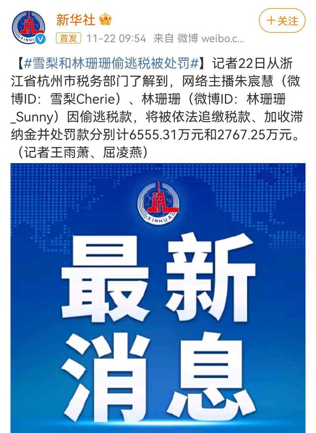 网红林珊珊年赚多少,网红雪梨林珊珊偷逃税被罚