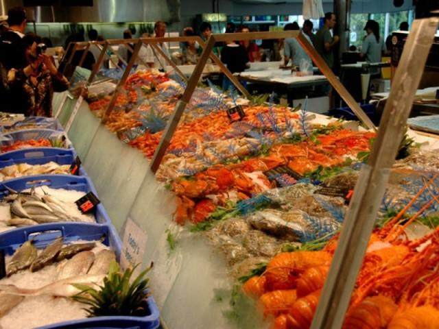 澳洲悉尼旅游攻略,澳洲悉尼旅游攻略四天多少钱