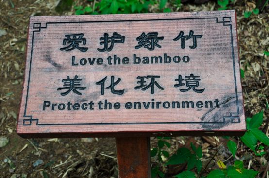 你知道竹海“美容师”吗?她拥有宜兴竹海的最美背影