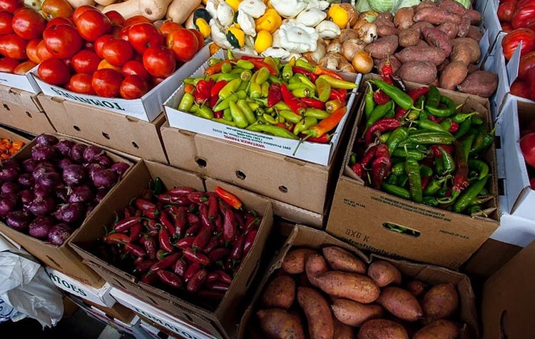 日本女生的身材为什么这么好,日本女性的身材是什么样的