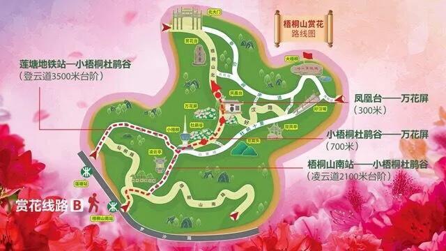深圳花海公园地址在哪里,深圳中心河公园花海