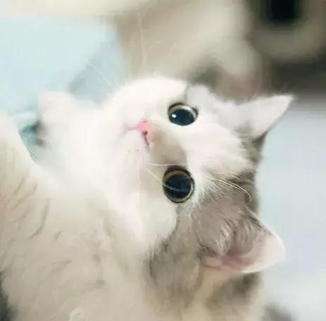 只要不停产就会无限回购的护肤品,只要不断货就一直卖的水乳