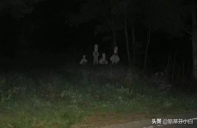 千万别玩的十大恐怖游戏,十大最难玩的恐怖游戏排名