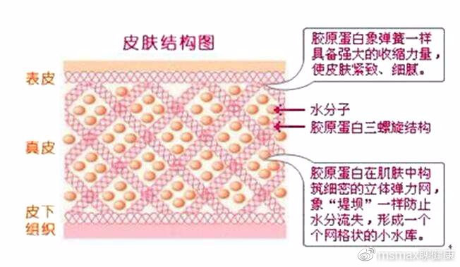 口服胶原蛋白真的有用吗,口服胶原蛋白的效果及可行性研究
