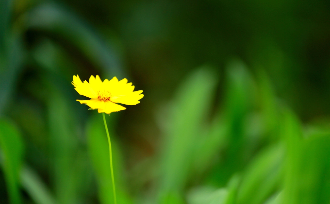 植物人托养有什么区别,植物人托养中心