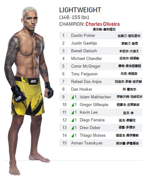 2021ufc重量级排名前十,ufc皱量级大力鼠排名