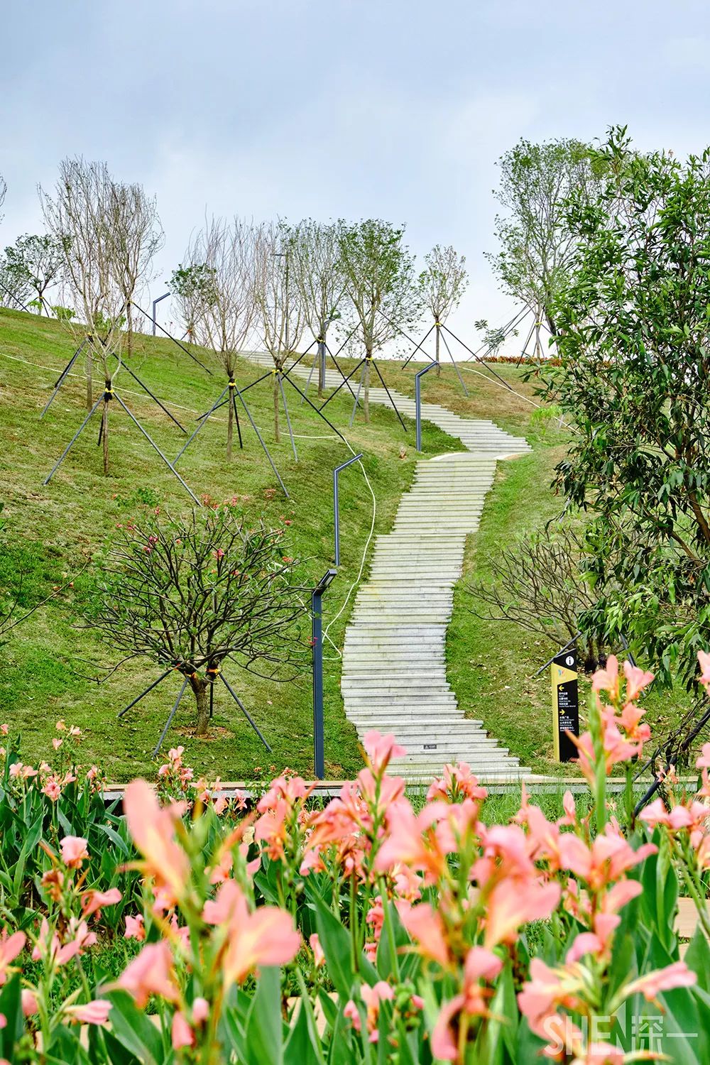 深圳网红公园地铁站,深圳地铁最近有什么公园