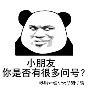 演化之美，发育之魅