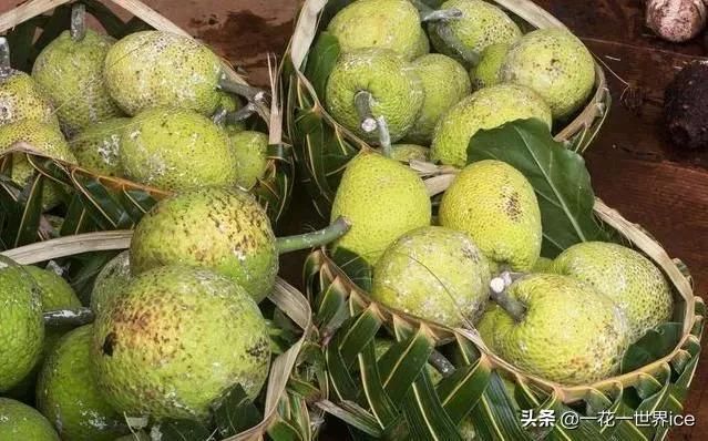 外表像榴莲的菠萝蜜,像菠萝蜜但不是菠萝蜜