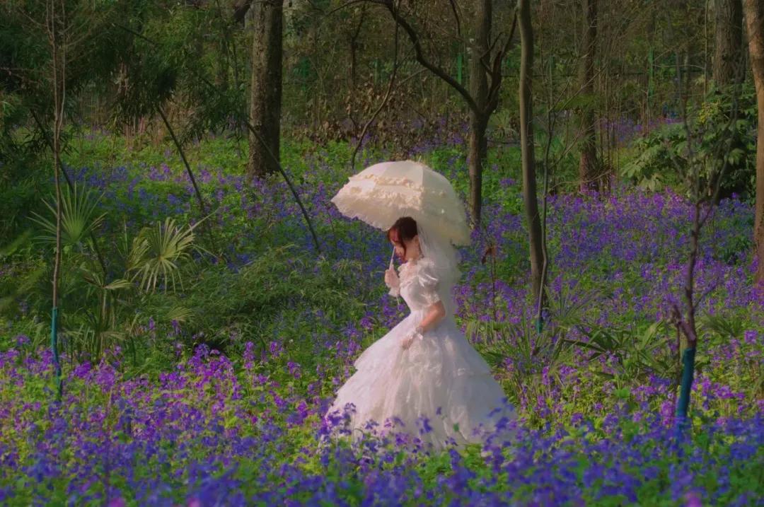 平价又好看的bm风,日系裙子推荐小个子