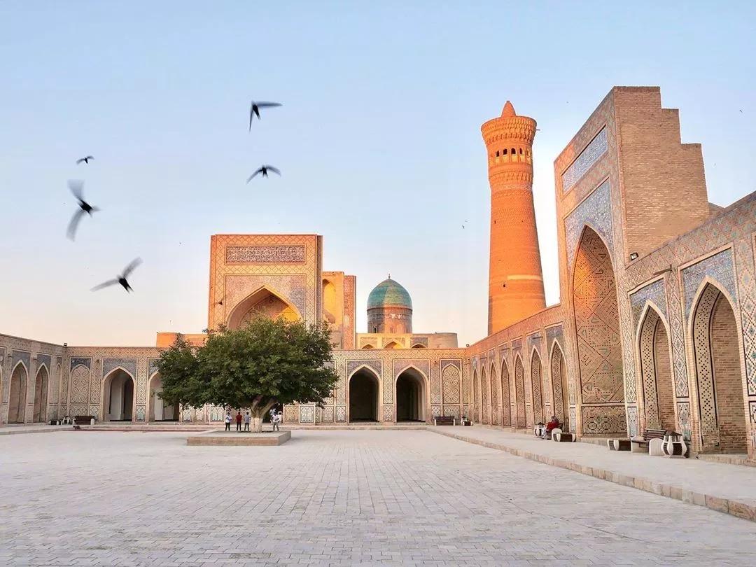 免隔离免签国家旅游推荐,免签国家白本护照直接去