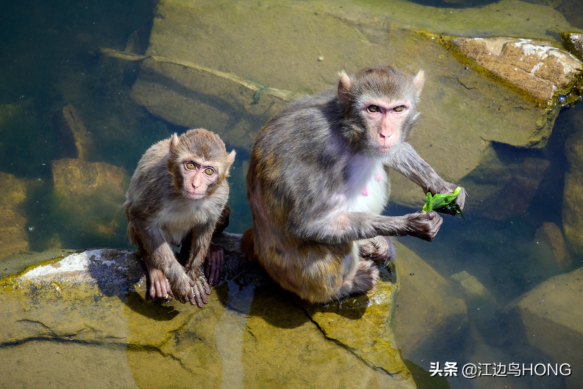 尼康z50双头套机价格,尼康z套机最低价7849