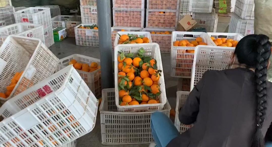 伦晚口感怎么样 (伦晚什么时候口感最好)