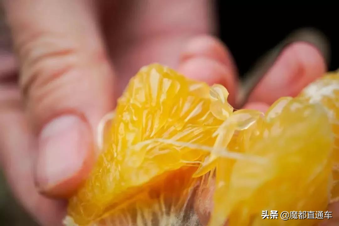 2019，在最好的时间，挑最好的地点，吃最好的食物！