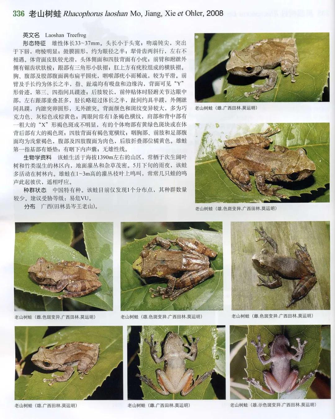 第一种！千万别吃波！