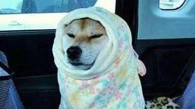 女生冬天穿什么雪地靴,怕冷的人适合穿雪地靴吗