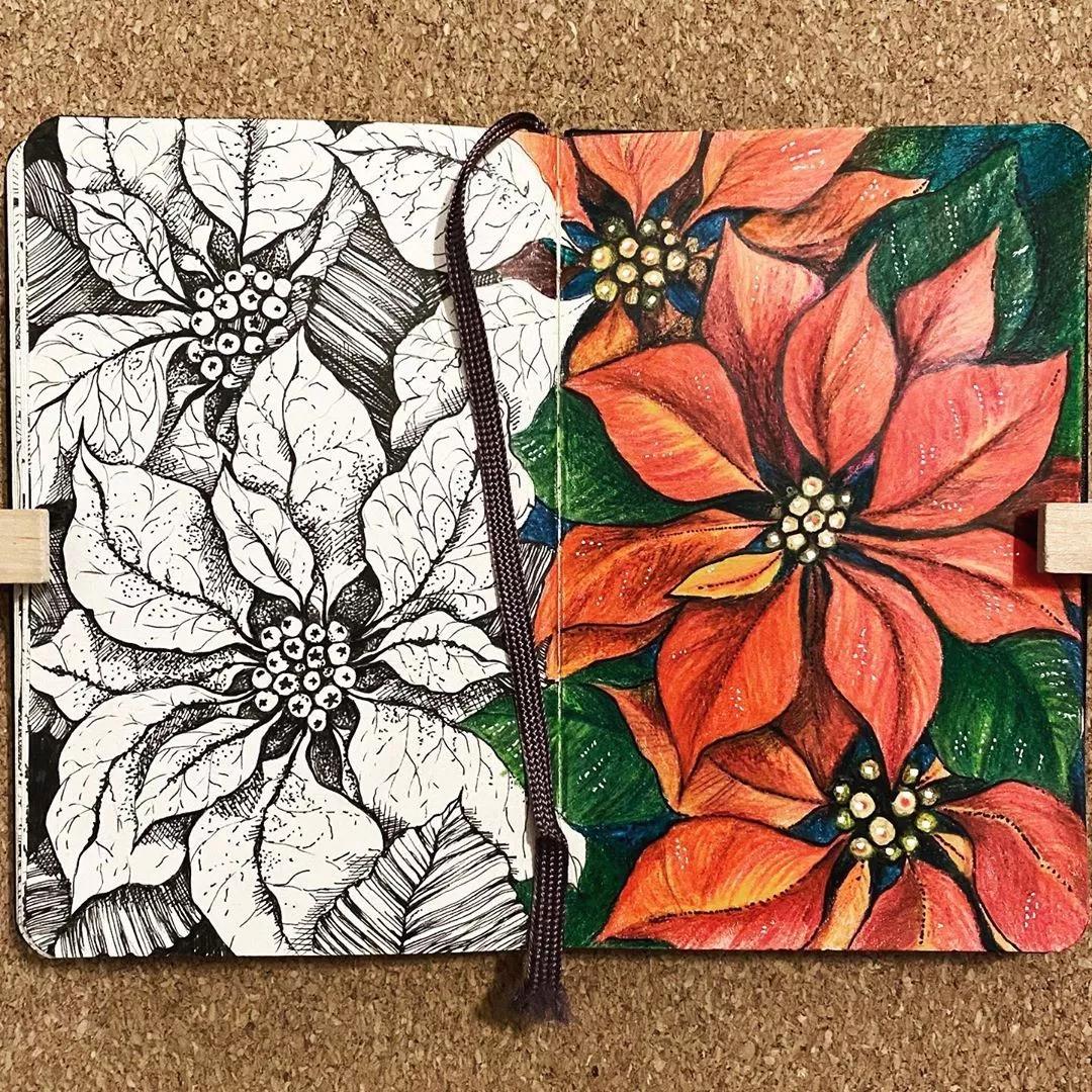 一看就懂的针管简笔画,针管笔入门手绘1000例临摹图