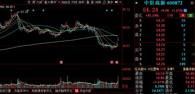 公募一哥张坤最新持股,公募一哥张坤大幅下挫