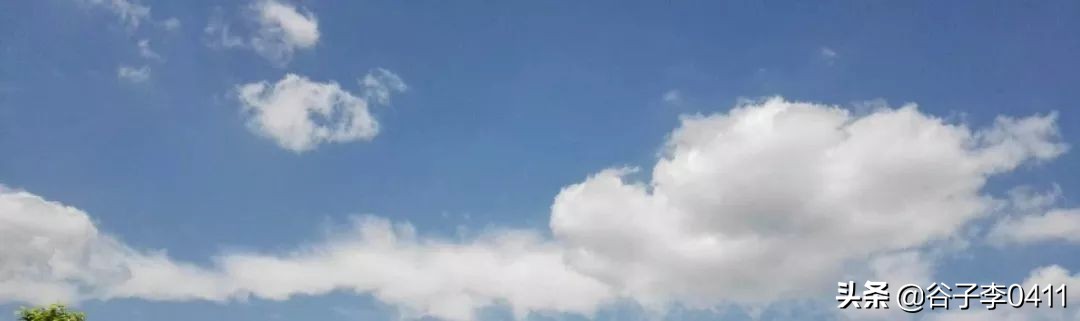 小聂跑法慢动作播放,小聂跑法是怎么跑的