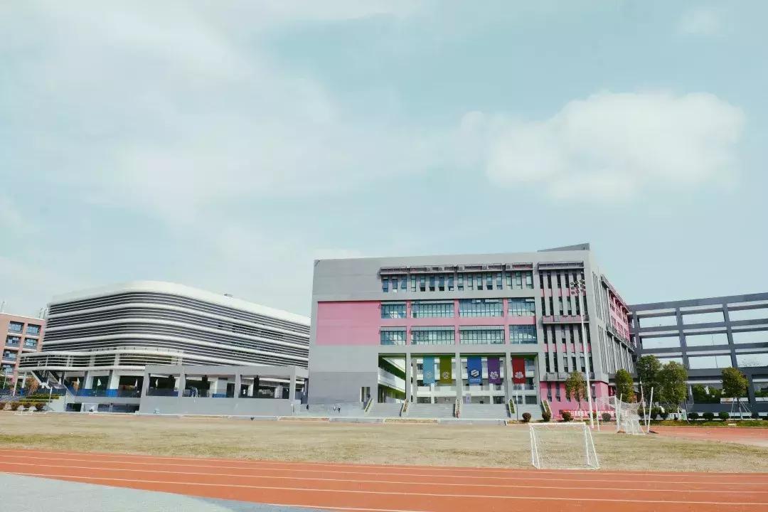 深圳湾公园这里有什么好吃的,深圳湾在哪里