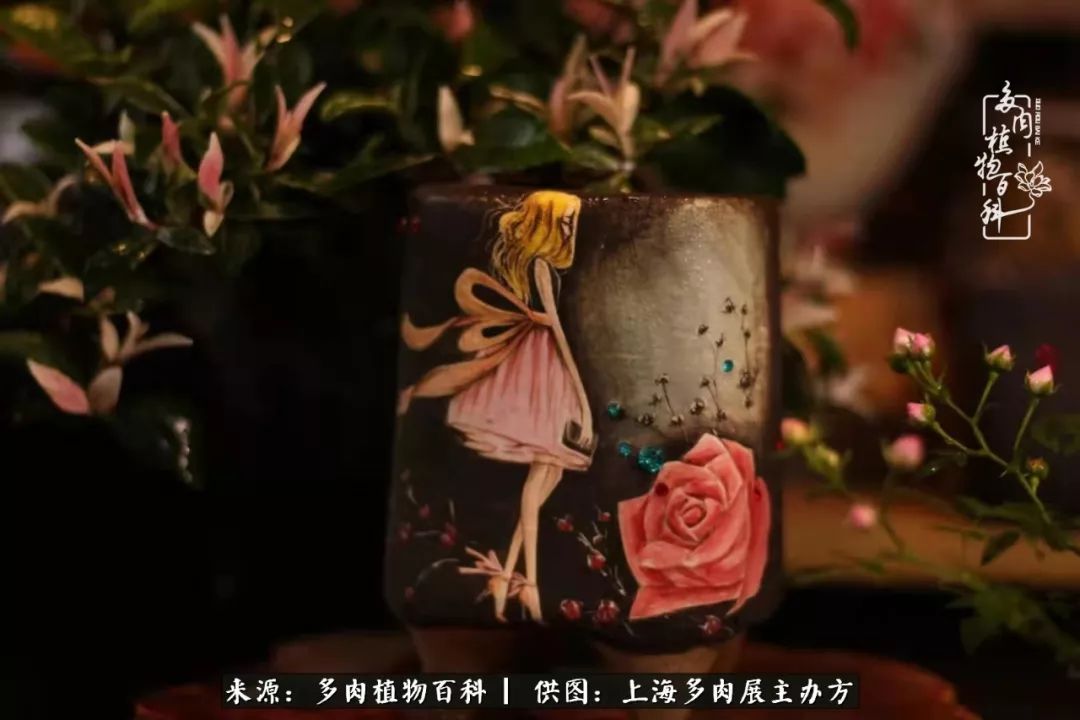 2023多肉展会直播,2023上海多肉植物展