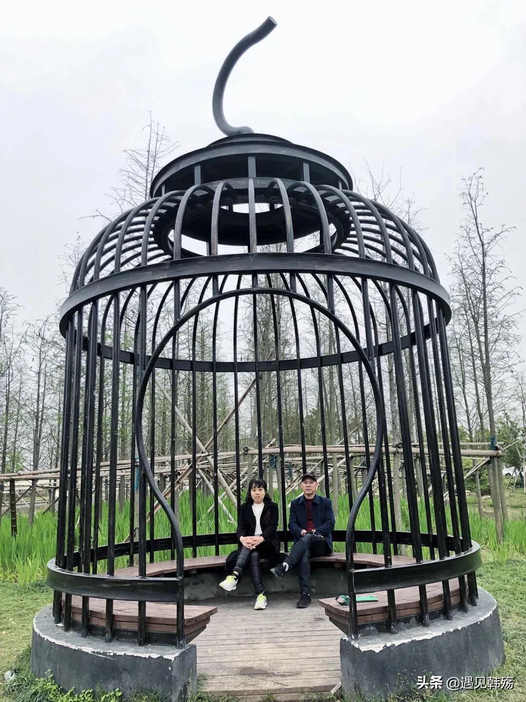 花海生态公园最新,春暖花开湿地公园