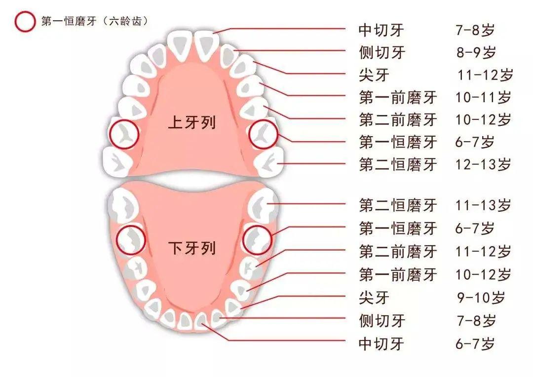 儿童没换的牙齿蛀了可以补吗,儿童牙齿蛀了会痛需要补牙吗