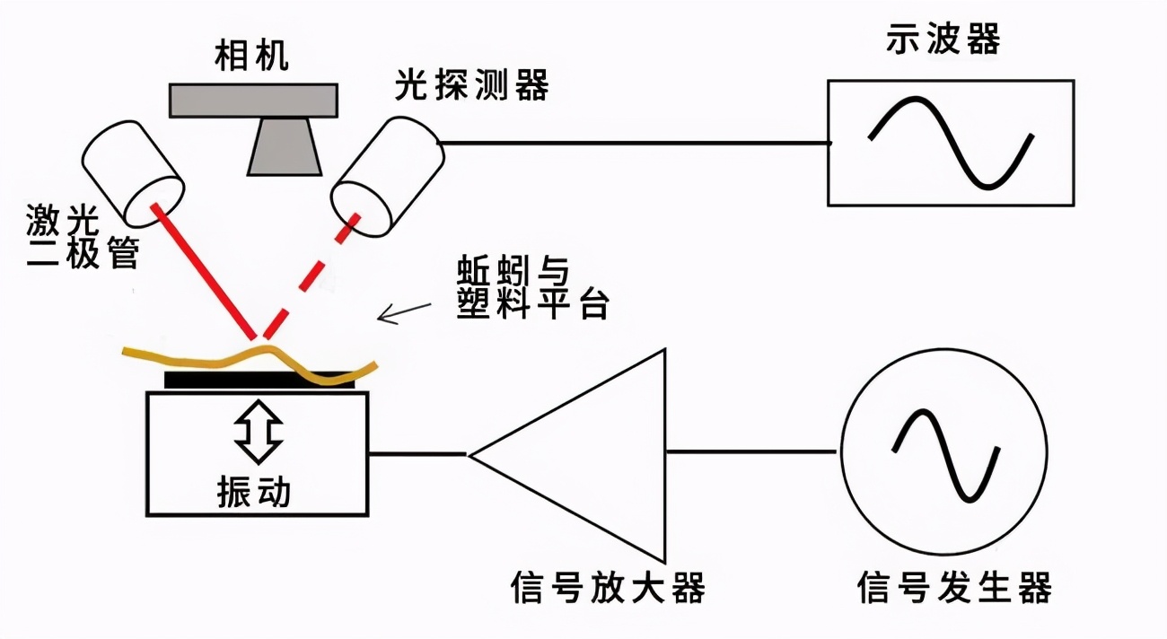 盘点2023年搞笑诺贝尔奖,搞笑诺贝尔奖有参考价值吗