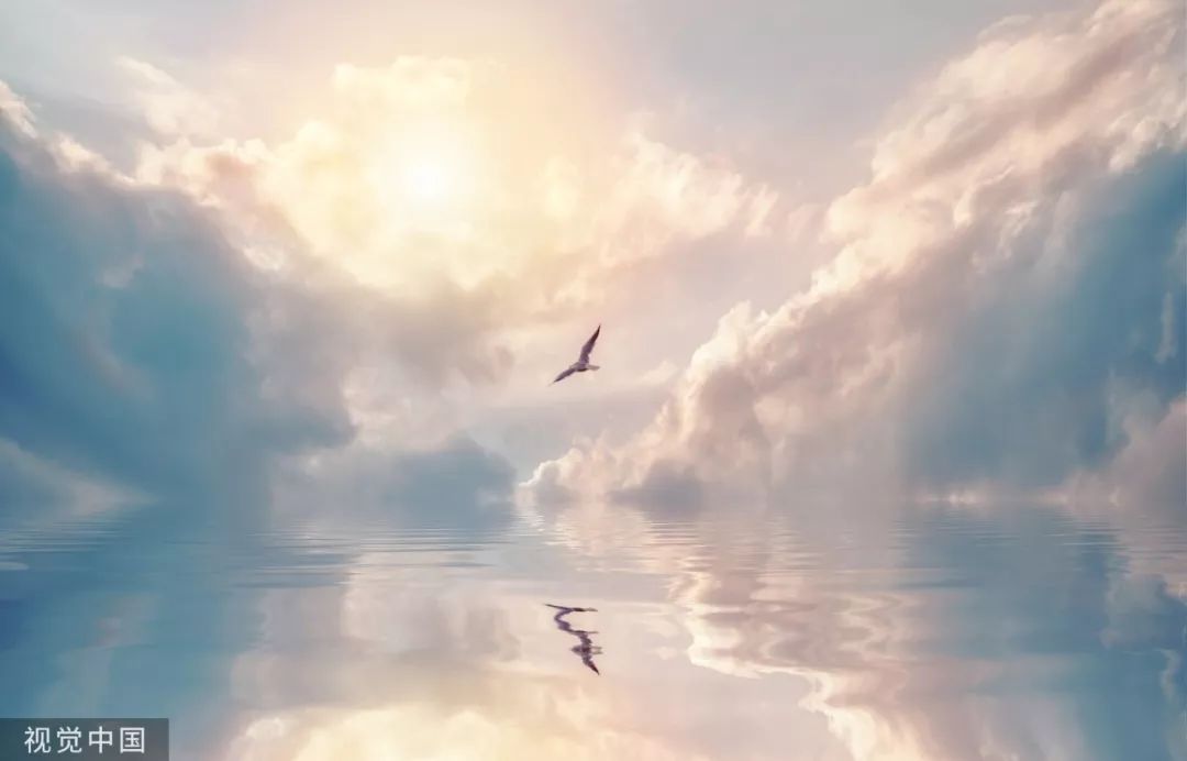 盘点那些漂亮的结婚证,独一无二的结婚证名字亮了