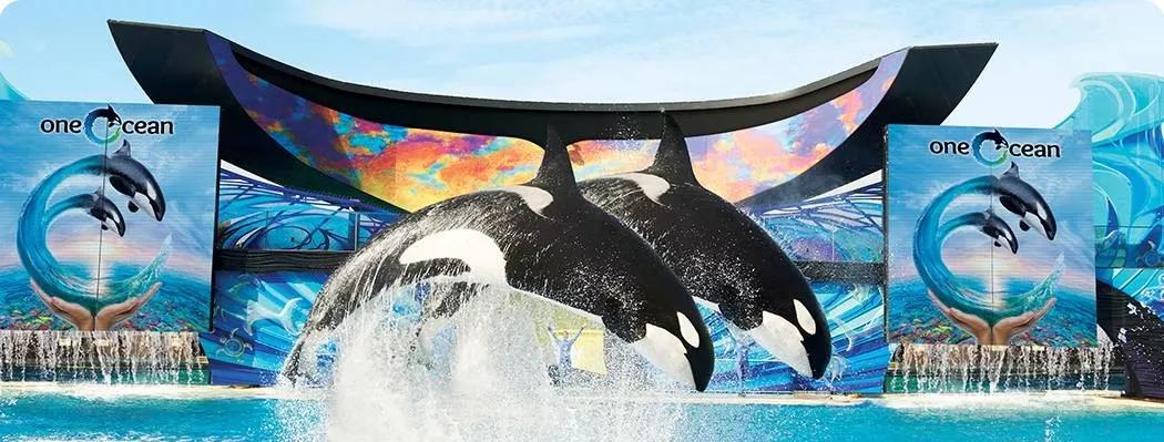 世界十大亲子游乐园,世界上最漂亮最好玩儿童游乐场