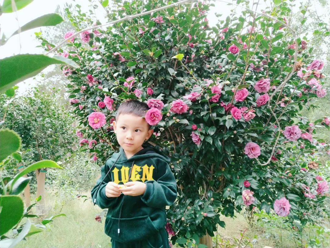 姝︽眽鑻变鸡灏忓眿,姝︽眽鏈夊効绔ヨ鏂界殑鎴胯溅钀ュ湴