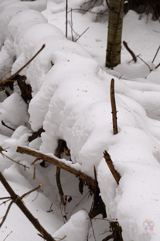 冬季旅游好去处排行榜不看雪,林海雪原旅游景区