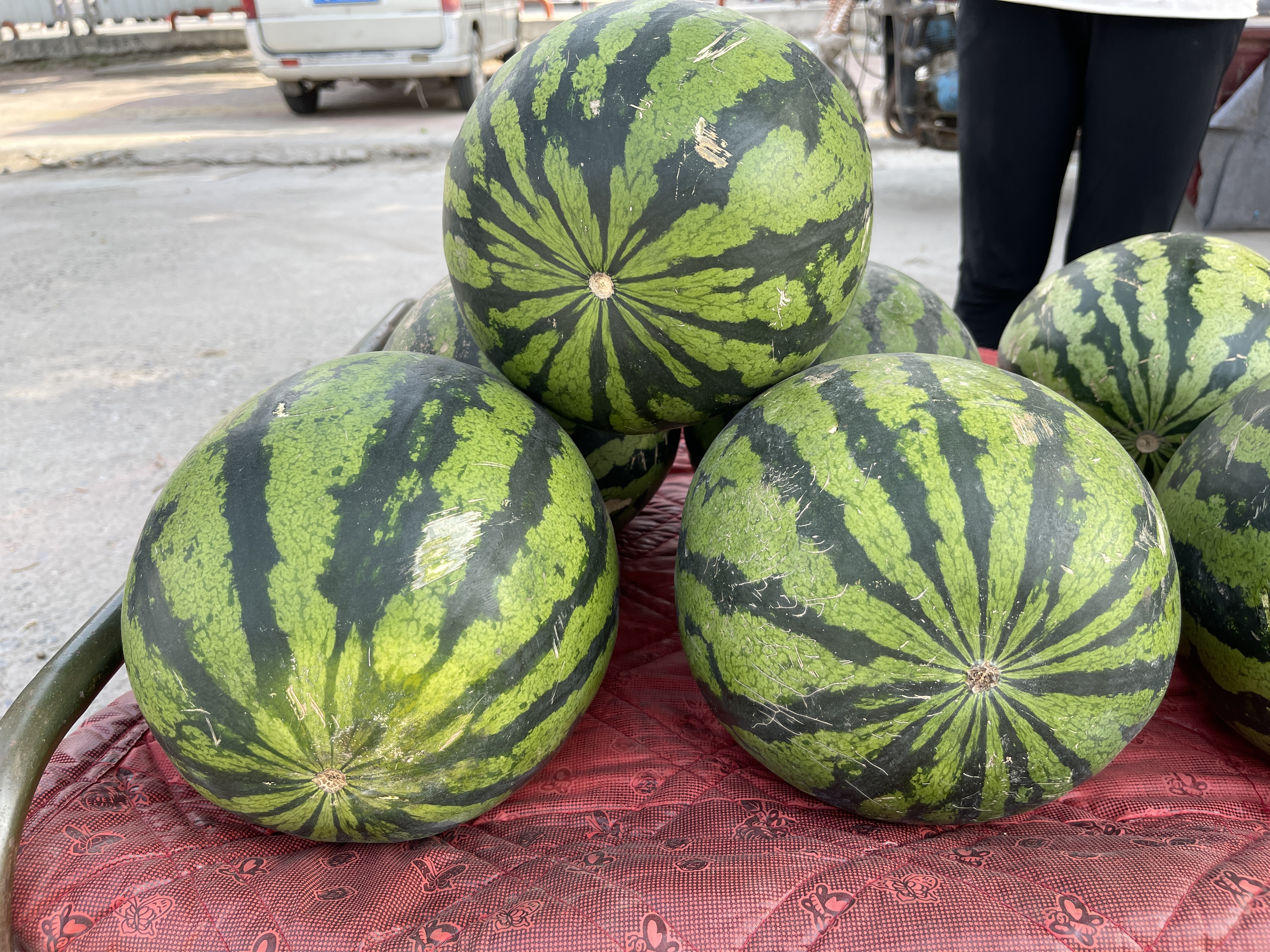 西瓜甜不甜四种挑法,怎么辨认西瓜甜不甜的小妙招