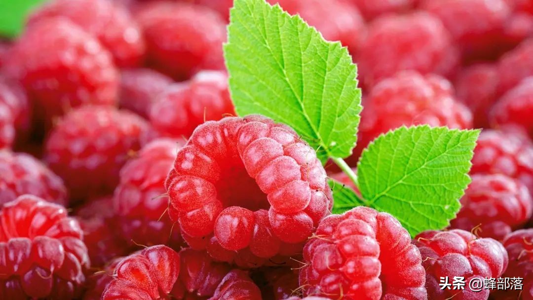 2021农村投资什么行业前景好,2019农村创业好项目投资小利润大