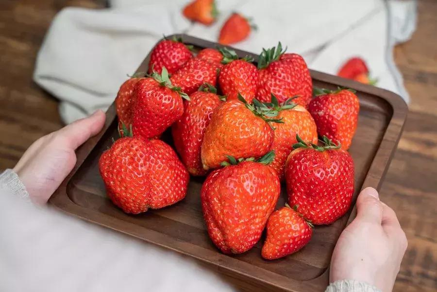 一下子吃了30颗草莓,吃了半斤草莓