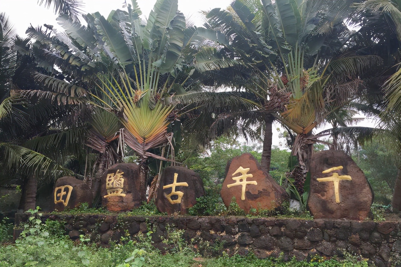 海南省儋州市白马井介绍,海南省儋州市白马井地图