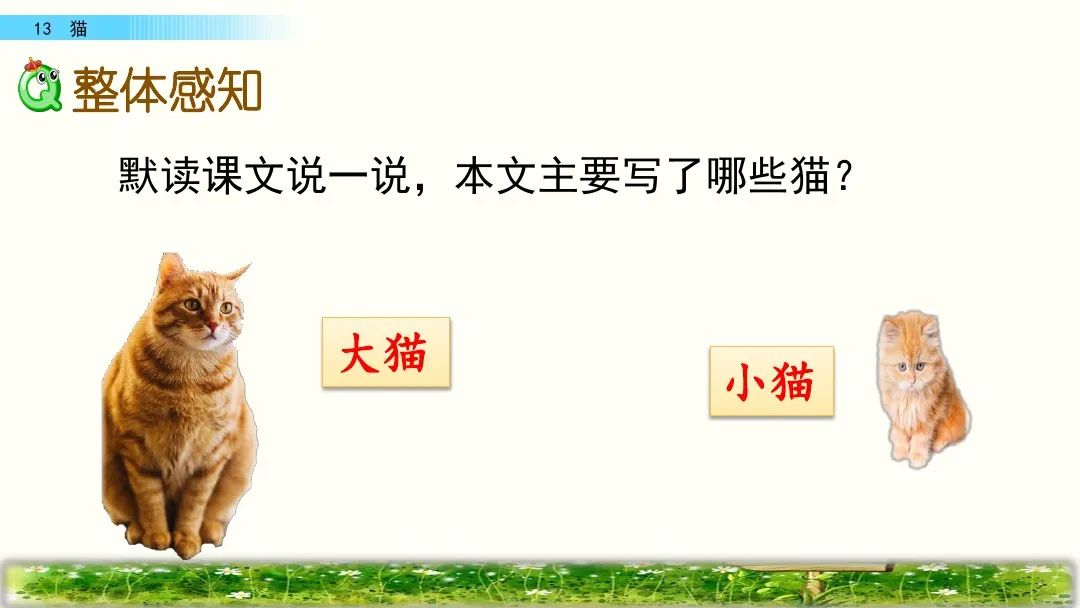 四年级下册语文13课猫课文解析,部编版四年级下册13猫教学视频