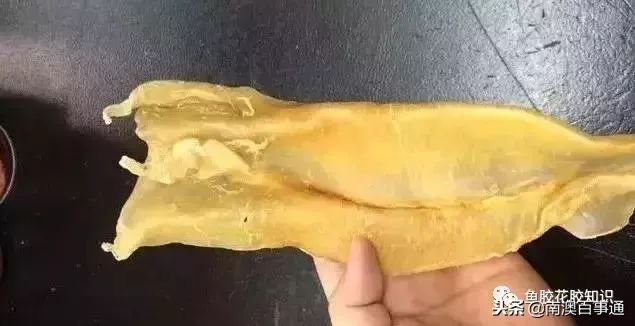 涨知识系列详解,涨知识简短