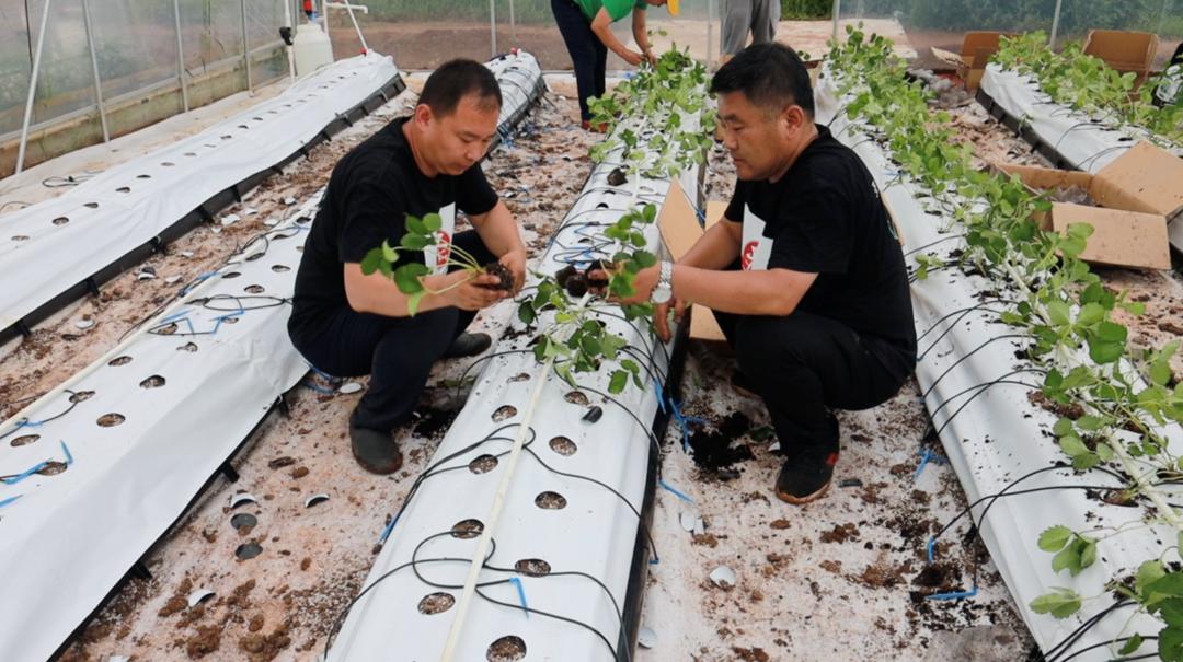 涓巃i瀵规姉,鍜宎i鍗曟寫寰峰窞