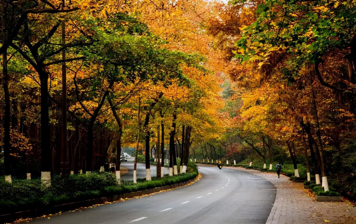 遇间播报|秋风拂杭州,阵阵桂香,满觉陇寻闲适,竟在山舍