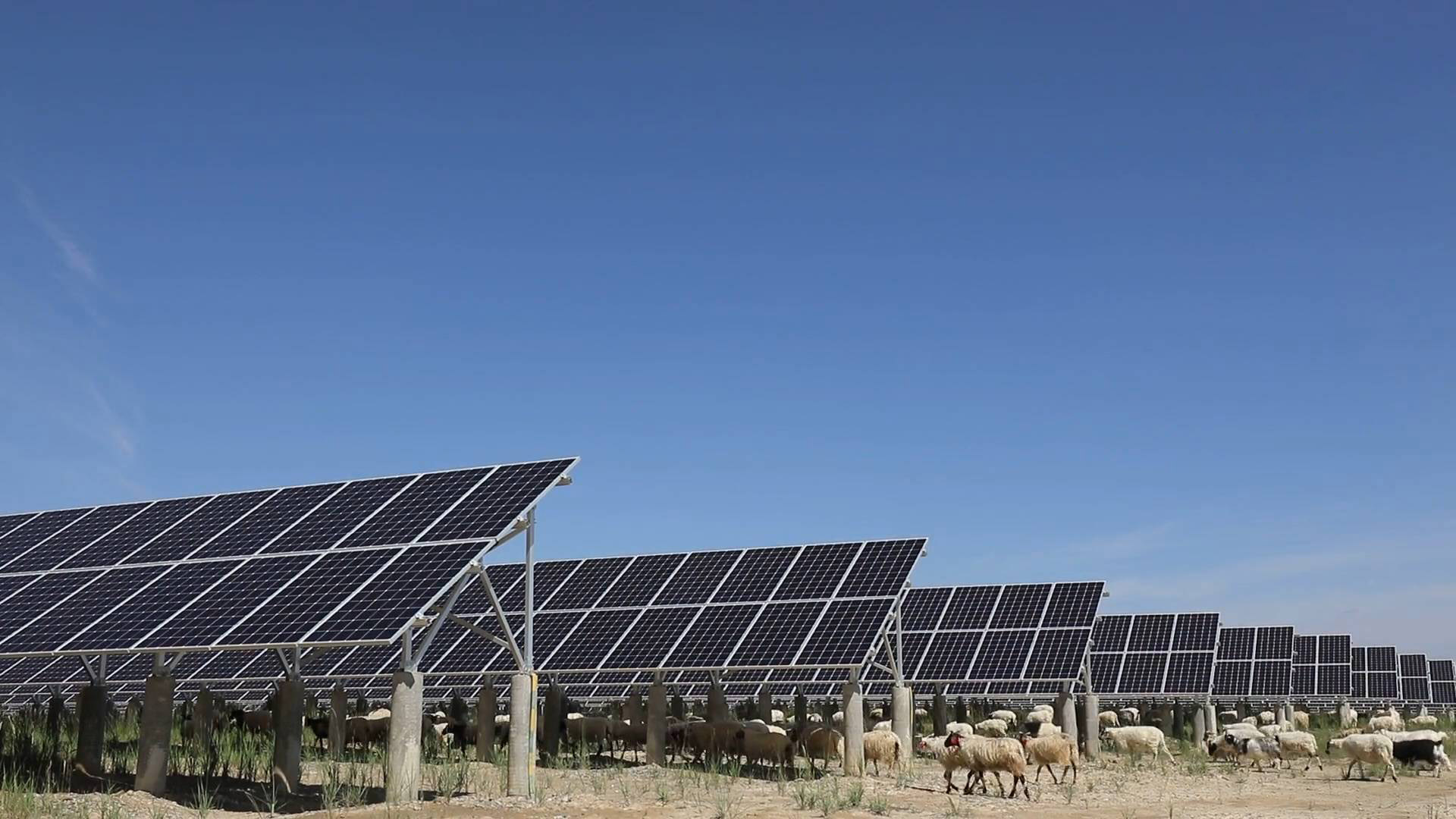 青海最大的光伏发电厂,青海最大的光伏发电图片