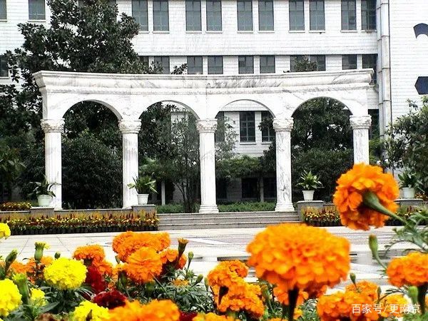 2020南京高中风云录，谁能拔得头筹？