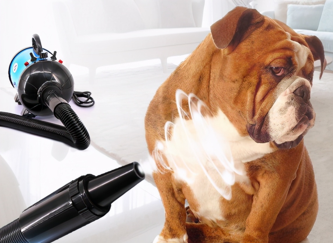 狗狗为什么抗拒洗澡,狗狗抗拒洗澡怎么办